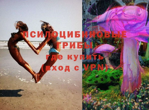 дживик Каменск-Шахтинский