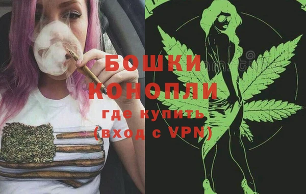тгк Каменногорск