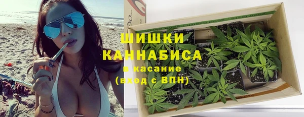 тгк Каменногорск