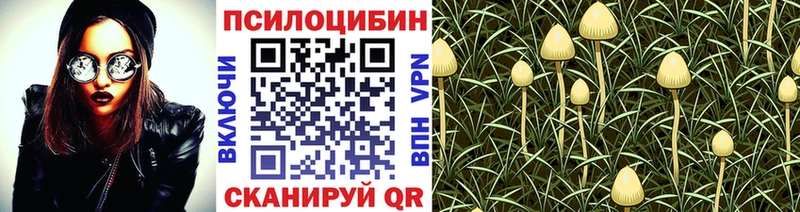 Псилоцибиновые грибы Magic Shrooms  Купить  Лесозаводск 